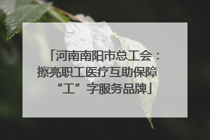 河南南阳市总工会：擦亮职工医疗互助保障“工”字服务品牌