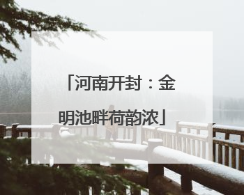 河南开封：金明池畔荷韵浓