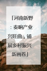 河南新野：奏响产业兴旺曲，铺展乡村振兴新画卷