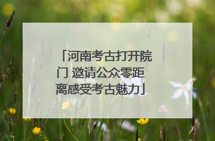河南考古打开院门 邀请公众零距离感受考古魅力
