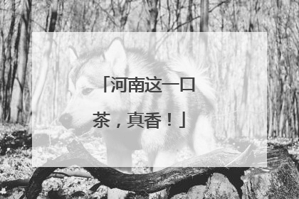河南这一口茶，真香！