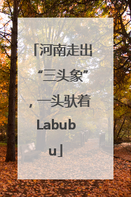 河南走出“三头象”，一头驮着Labubu