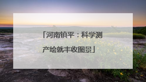 河南镇平：科学测产绘就丰收图景