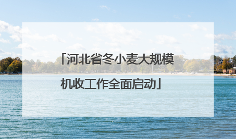 河北省冬小麦大规模机收工作全面启动