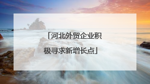 河北外贸企业积极寻求新增长点