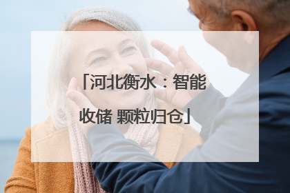 河北衡水：智能收储 颗粒归仓