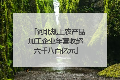 河北规上农产品加工企业年营收超六千八百亿元