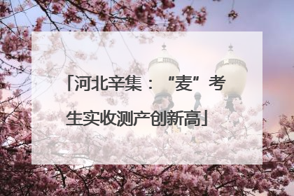 河北辛集：“麦”考生实收测产创新高