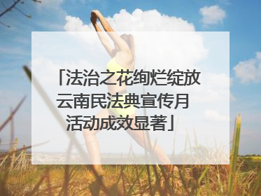 法治之花绚烂绽放 云南民法典宣传月活动成效显著