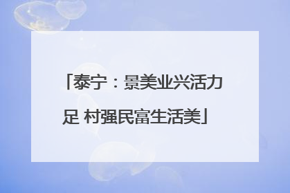 泰宁：景美业兴活力足 村强民富生活美