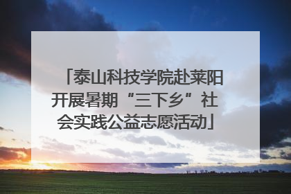 泰山科技学院赴莱阳开展暑期“三下乡”社会实践公益志愿活动