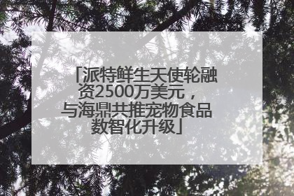 派特鲜生天使轮融资2500万美元，与海鼎共推宠物食品数智化升级
