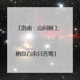 洛南：山间树上栖息百余只苍鹭
