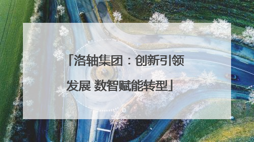 洛轴集团：创新引领发展 数智赋能转型