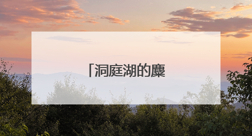 洞庭湖的麋鹿，最野！