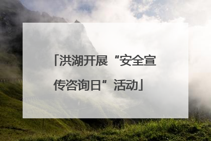 洪湖开展“安全宣传咨询日”活动