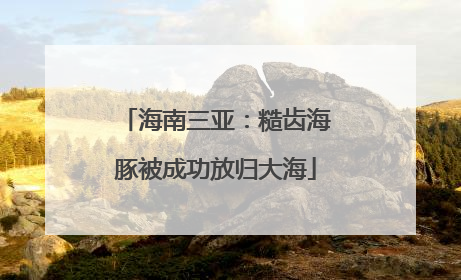 海南三亚：糙齿海豚被成功放归大海