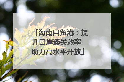 海南自贸港：提升口岸通关效率 助力高水平开放