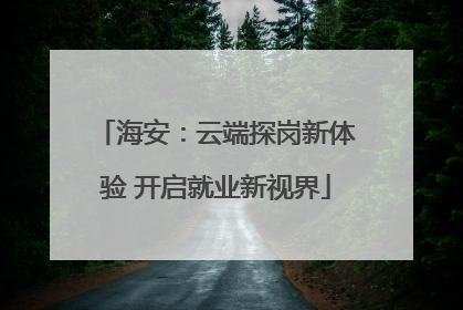 海安：云端探岗新体验 开启就业新视界