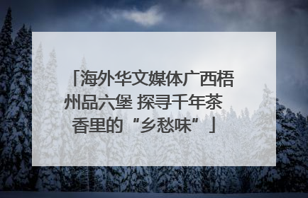 海外华文媒体广西梧州品六堡 探寻千年茶香里的“乡愁味”