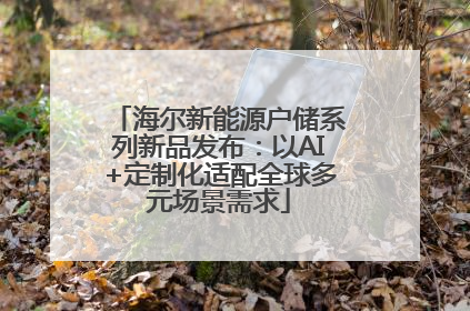 海尔新能源户储系列新品发布：以AI+定制化适配全球多元场景需求