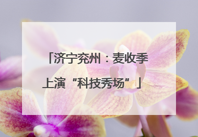 济宁兖州：麦收季上演“科技秀场”