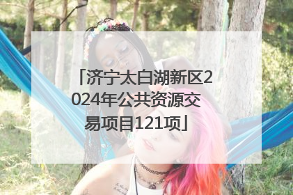 济宁太白湖新区2024年公共资源交易项目121项