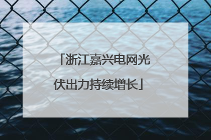 浙江嘉兴电网光伏出力持续增长