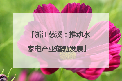 浙江慈溪：推动水家电产业蓬勃发展