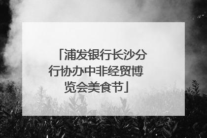 浦发银行长沙分行协办中非经贸博览会美食节