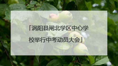 涡阳县闸北学区中心学校举行中考动员大会