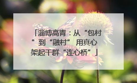 淄博高青：从“包村”到“融村” 用真心架起干群“连心桥”