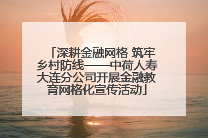 深耕金融网格 筑牢乡村防线——中荷人寿大连分公司开展金融教育网格化宣传活动
