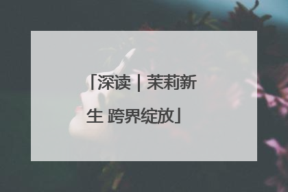 深读｜茉莉新生 跨界绽放