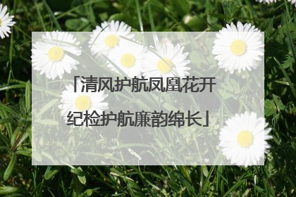 清风护航凤凰花开 纪检护航廉韵绵长
