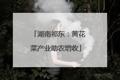 湖南祁东：黄花菜产业助农增收