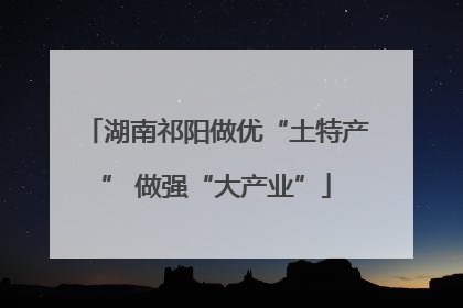 湖南祁阳做优“土特产” 做强“大产业”