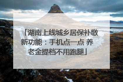 湖南上线城乡居保补缴新功能：手机点一点 养老金提档不用跑腿