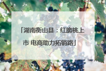 湖南衡山县：红脆桃上市 电商助力拓销路