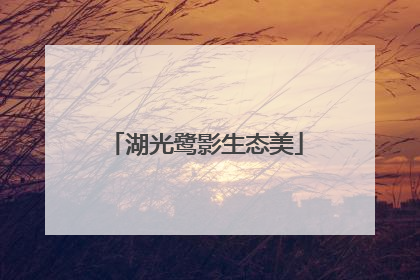 湖光鹭影生态美