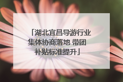 湖北宜昌导游行业集体协商落地 带团补贴标准提升