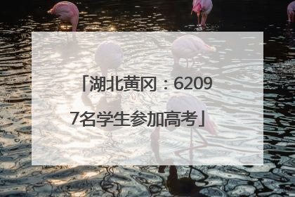 湖北黄冈：62097名学生参加高考