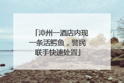 漳州一酒店内现一条活鳄鱼，警民联手快速处置