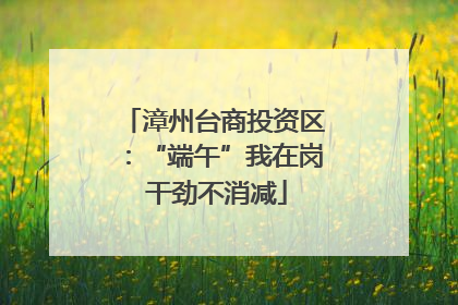 漳州台商投资区：“端午”我在岗 干劲不消减