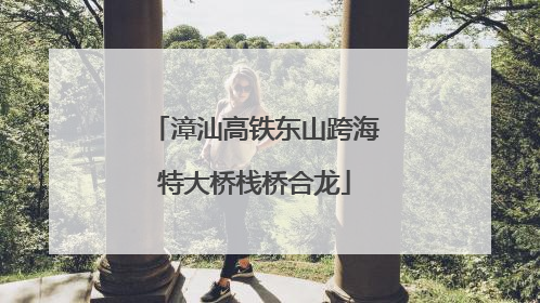 漳汕高铁东山跨海特大桥栈桥合龙