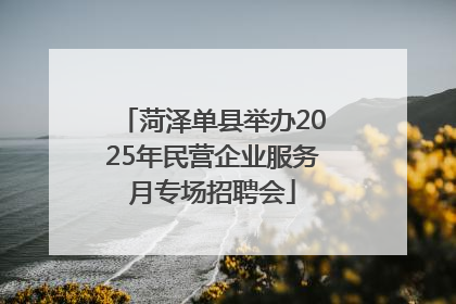菏泽单县举办2025年民营企业服务月专场招聘会
