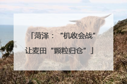 菏泽：“机收会战”让麦田“颗粒归仓”