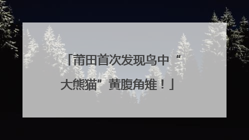 莆田首次发现鸟中“大熊猫”黄腹角雉！
