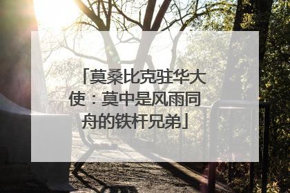 莫桑比克驻华大使：莫中是风雨同舟的铁杆兄弟