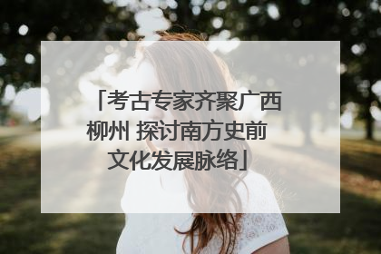 考古专家齐聚广西柳州 探讨南方史前文化发展脉络